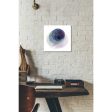 Evolving Planets III  by Grace Popp Canvas Wall Art Supply