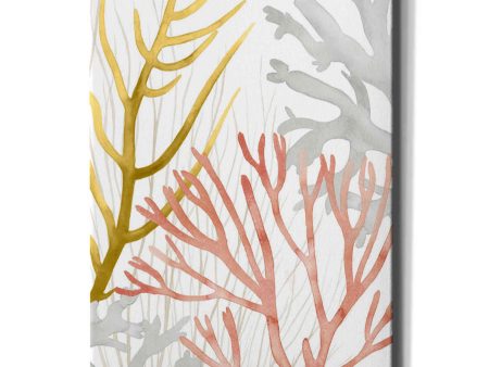 Desert Coral II  by Grace Popp Canvas Wall Art on Sale