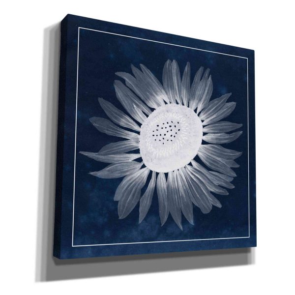 Moon Flower II  by Grace Popp, Canvas Wall Glass Hot on Sale