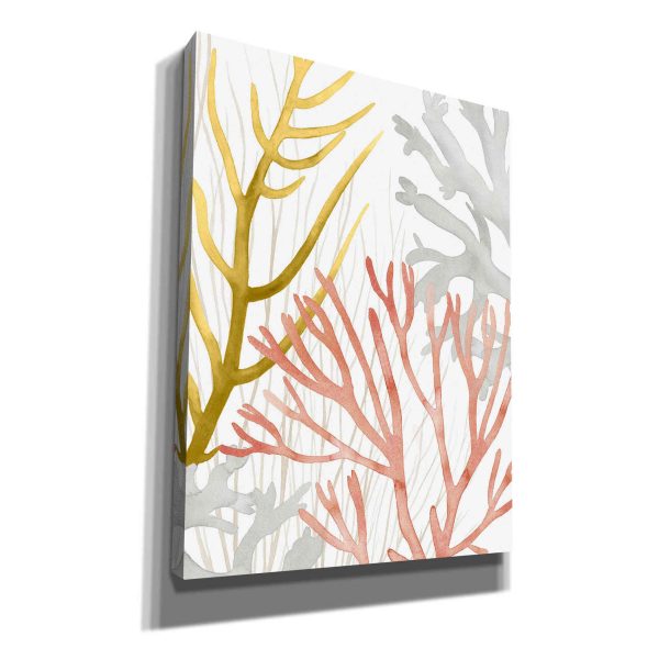 Desert Coral II  by Grace Popp Canvas Wall Art on Sale