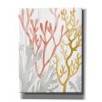 Desert Coral I  by Grace Popp Canvas Wall Art Fashion