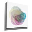 Evolving Planets II  by Grace Popp Canvas Wall Art Cheap