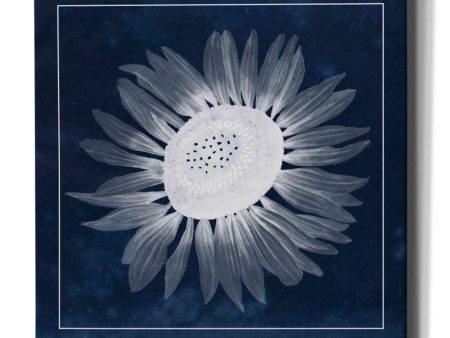 Moon Flower II  by Grace Popp, Canvas Wall Glass Hot on Sale