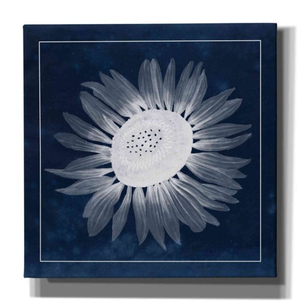 Moon Flower II  by Grace Popp, Canvas Wall Glass Hot on Sale