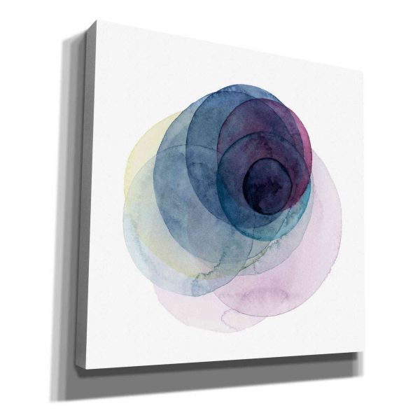 Evolving Planets III  by Grace Popp Canvas Wall Art Supply