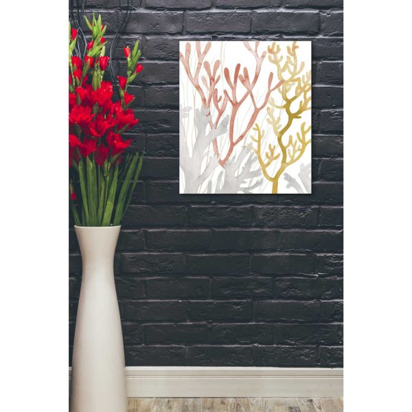 Desert Coral I  by Grace Popp Canvas Wall Art Fashion