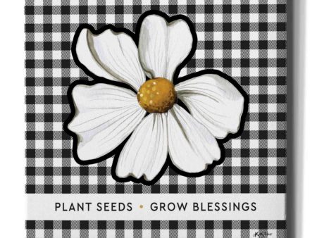 Plant Seeds, Grow Blessings  by Kelley Talent, Canvas Wall Art Online now