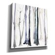 In the Forest II  by Grace Popp Canvas Wall Art For Sale