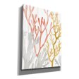 Desert Coral I  by Grace Popp Canvas Wall Art Fashion