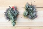 Wholesale: Tillandsia Funckiana Large Hanging Clusters [Min Order 12] Cheap