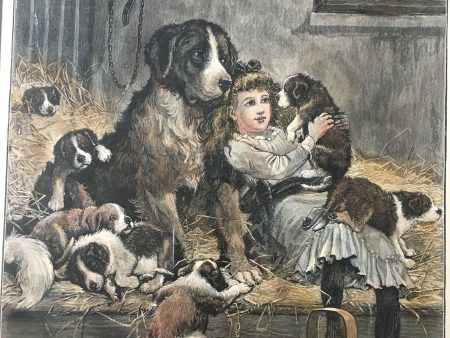 Antique Print of Girl & 8 Saint Bernard (or Bernese Mountain) Dogs “A Privileged Visitor” by Stanley Berkeley Discount