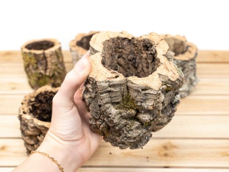 Wholesale: Natural Cork Bark Planters Discount