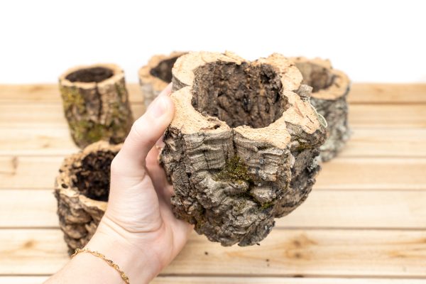 Wholesale: Natural Cork Bark Planters Discount