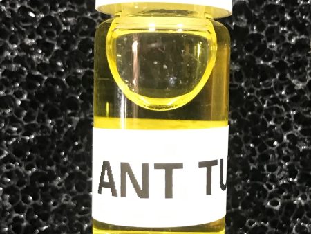 Ant Tucker Ant Food For Sale