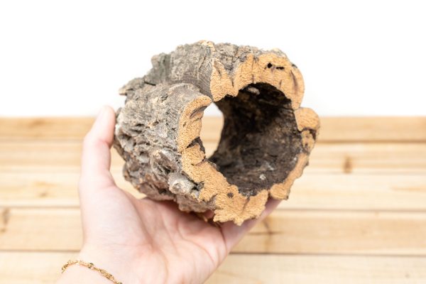 Wholesale: Natural Cork Bark Planters Discount