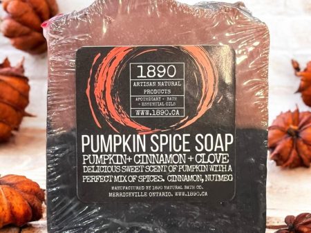 Pumpkin Spice Soap (Pumpkin + Cinnamon + Clove) For Sale