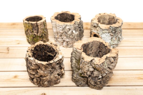 Wholesale: Natural Cork Bark Planters Discount