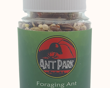 Ant Food Foraging mix for Harvester ants and piedole For Discount