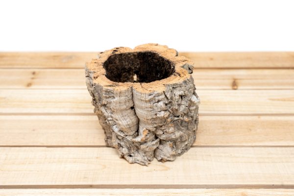 Wholesale: Natural Cork Bark Planters Discount