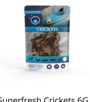 Superfresh Insect Food by Pisces For Sale