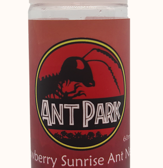 Ant Nectar Ant food 60ml ON SPECIAL For Sale