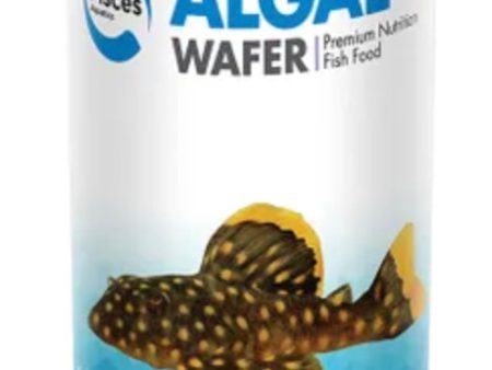 Algae Wafers Pisces for Catfish Sale