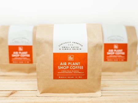 Wholesale: Air Plant Shop Whole Bean Coffee - 12 oz Bag Sale