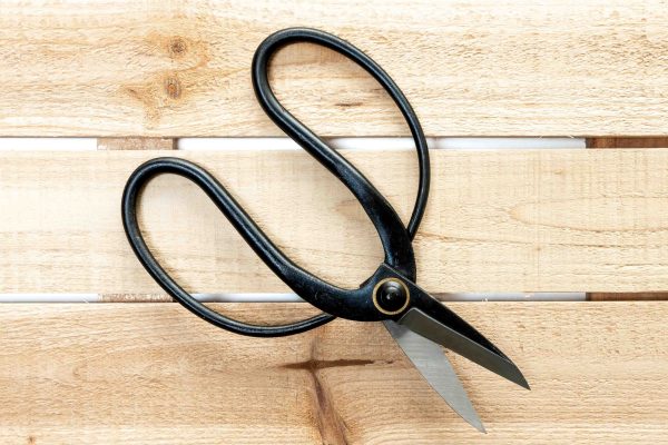 Wholesale: Tillandsia Air Plant Bonsai Pruning Scissors [Min Order 6] For Cheap