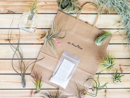 Gift Wrapped Air Plant Grab Bag of Small & Medium Plants, Tillandsia Fertilizer & Air Plant Mister [10 Pack] Cheap