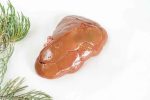 Rocky Mountain Elk Kidney Online Hot Sale