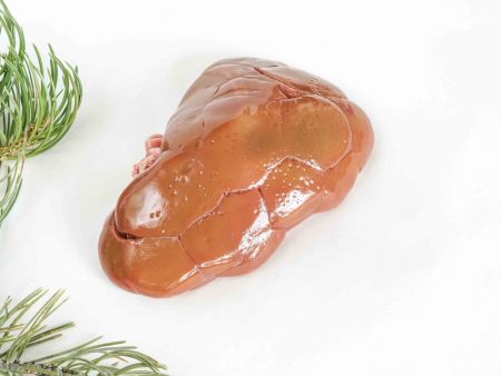 Rocky Mountain Elk Kidney Online Hot Sale