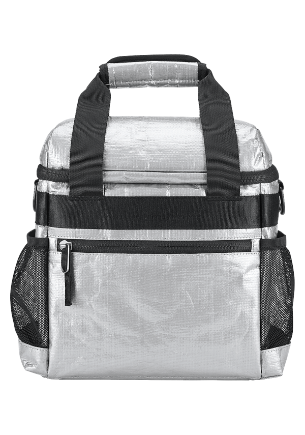 Windansea Cooler Bag - Gray For Sale